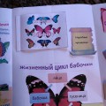 Лепбук «Метелики»   Для кращого вивчення лексичної теми Метелики мною, спільно з хлопцями був виготовлений лепбук Метелики