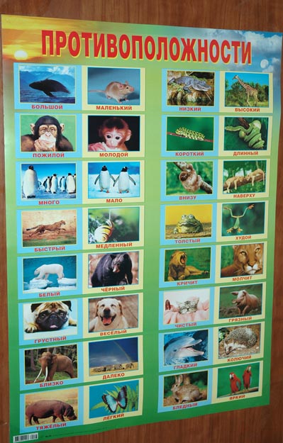 Ще є розвиваючі плакати (які я купувала заради картинок тварин; періодично їх міняю, а старі розрізаю на картки, які ми час від часу розглядаємо і вивчаємо тварин і їх назви):